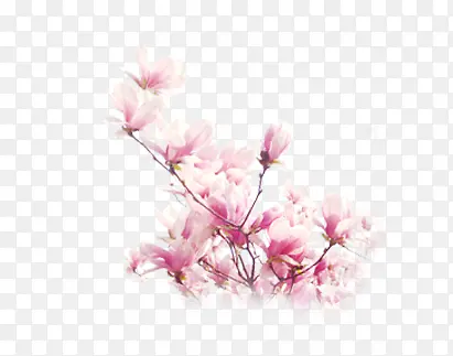 ��ɫ�Ļ�-������