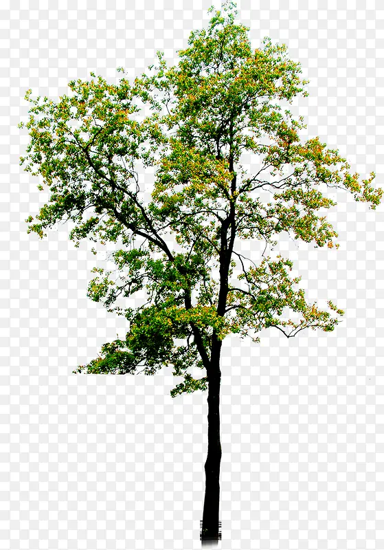 ��-������