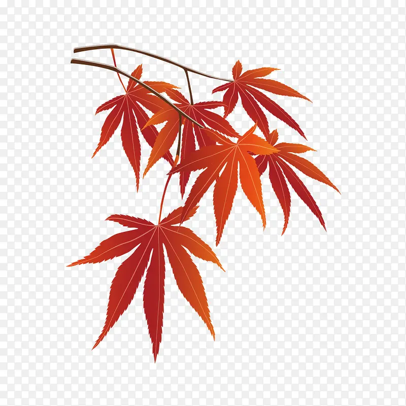 �����Ҷ��֦-������