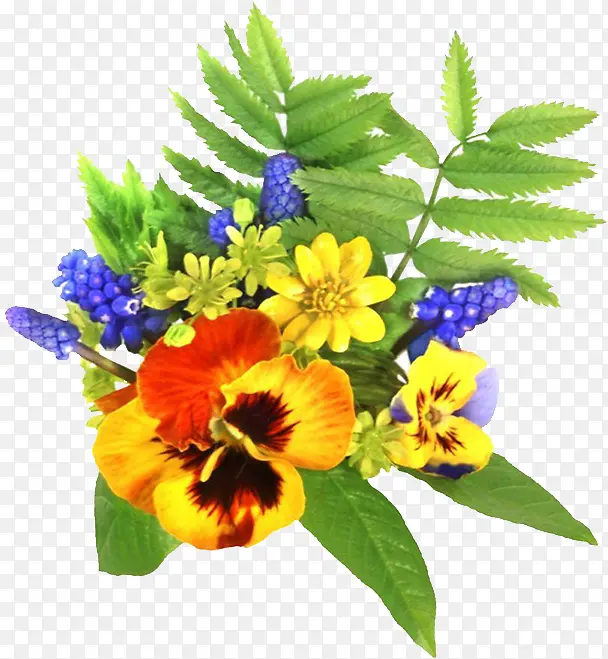 ��ɫ������֦-������