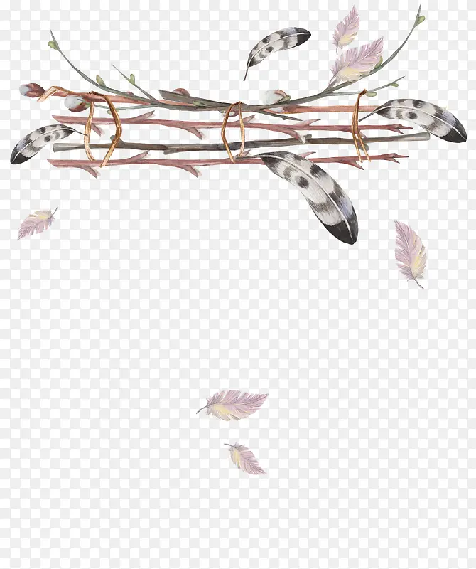 ��֦�ϵ���ë-������