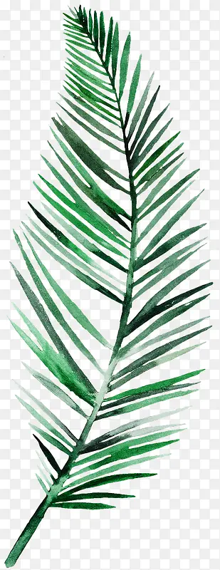 �ֻ���֦-������