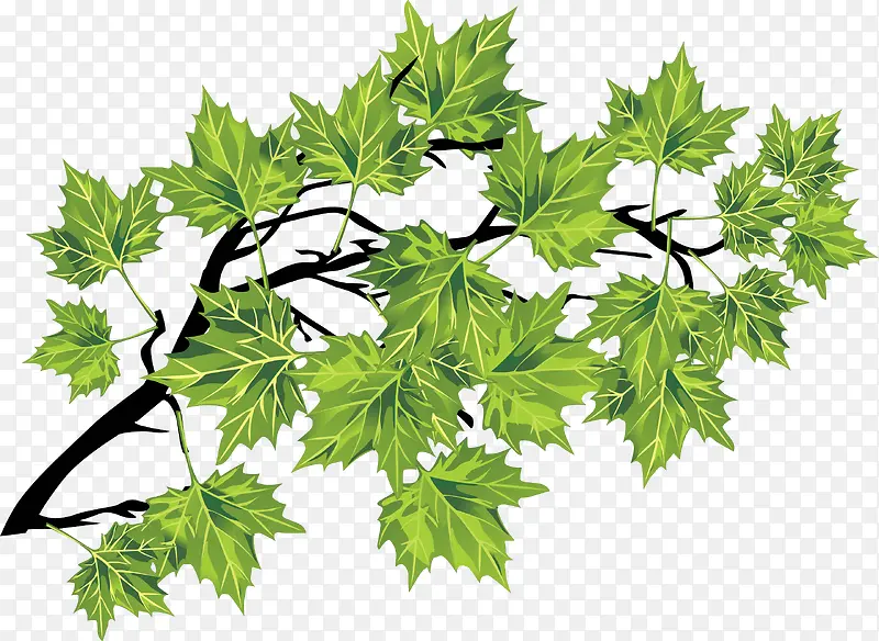 ʸ���ֻ���֦-������