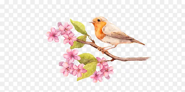 �ֻ�ˮ������֦-������