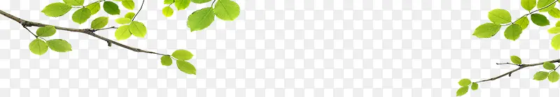 ��֦-������