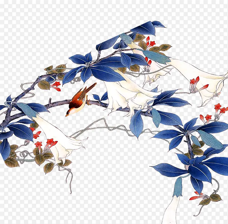 ˮ����֦-������