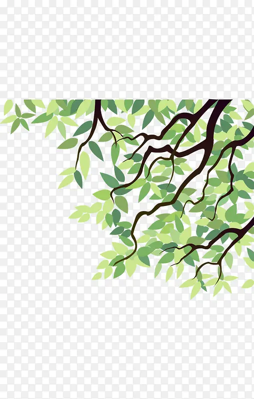 ��֦-������