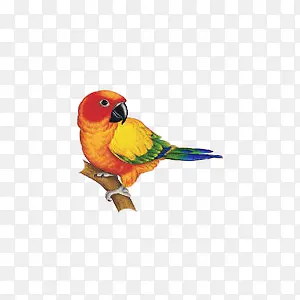 ��-������