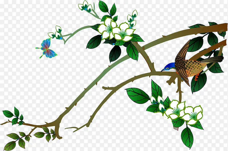 ��֦-������