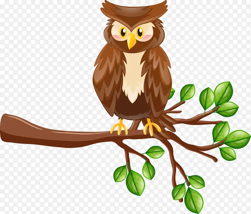 ��֦�ϵ�èͷӥ-������