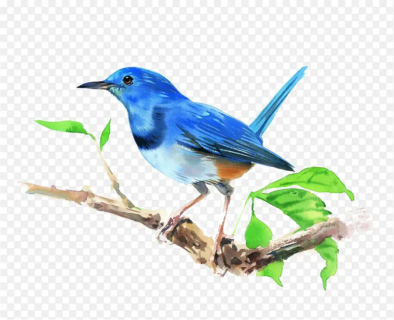 ��֦�ϵ�С��-������