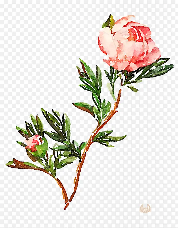 ��֦�ϵĻ�-������