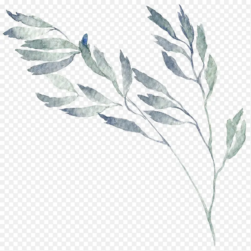 �ֻ���֦-������