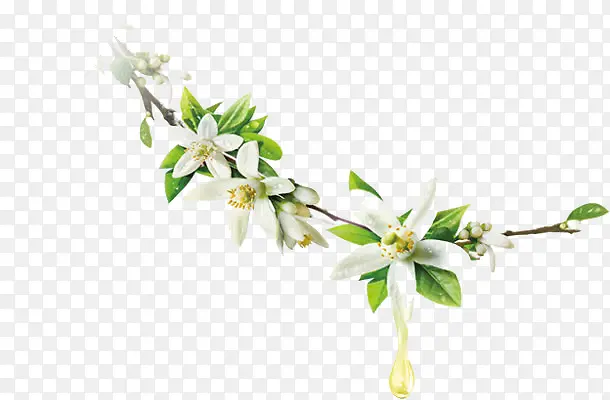 ��ɫС��-������