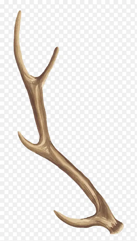 ˮ���ֻ�ֲ�ﻨ��-������