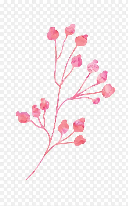 ��ɫ��֦-������