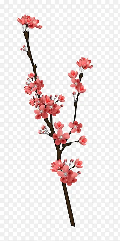 ��ɫ�һ�-������