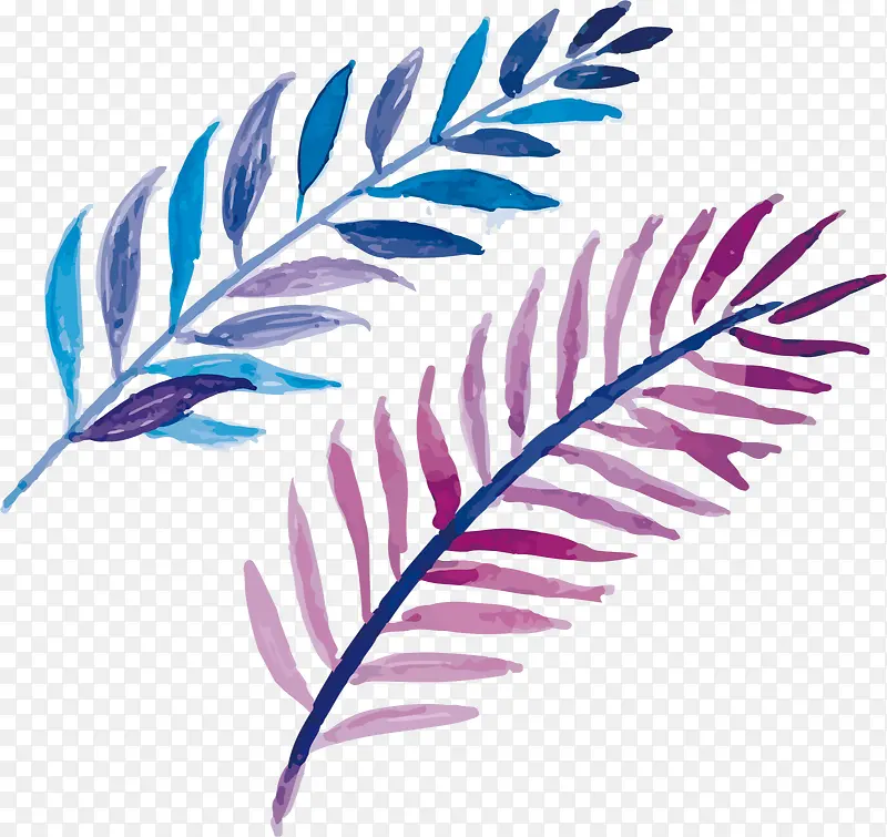 ����ɫˮ����֦-������