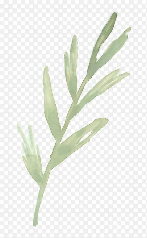 �ֻ�ˮ��ֲ���ز�-������