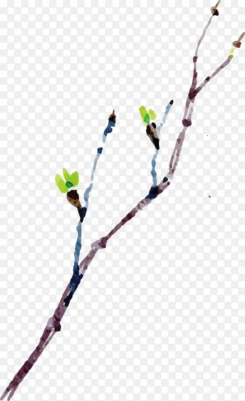 ˮ����֦-������