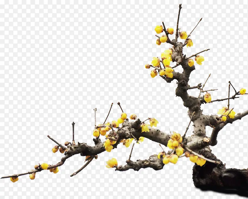 װ�λ���-������