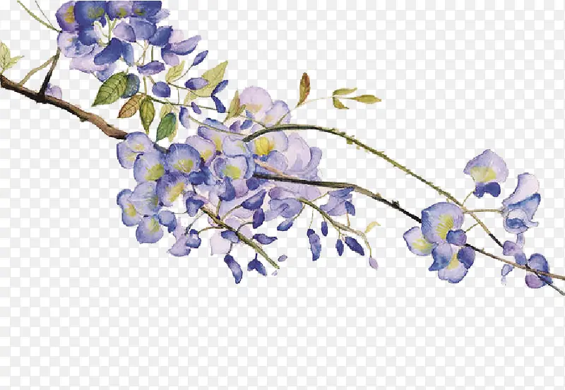 ʸ���ֻ滨��-������