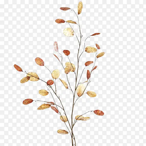 ��Ҷ�ز�png-������