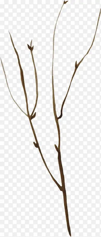 �ֻ���֦-������