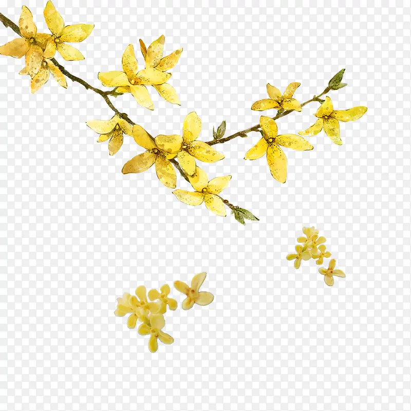 Ψ��ֲ��-������