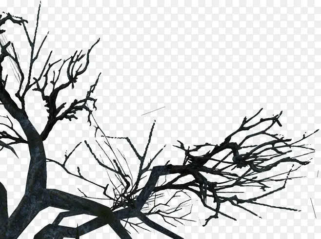 ��֦-������