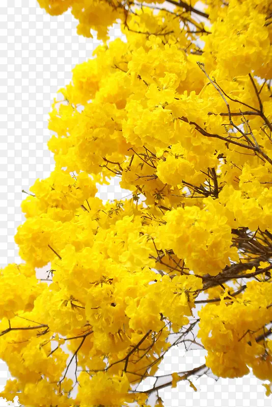 ��-������