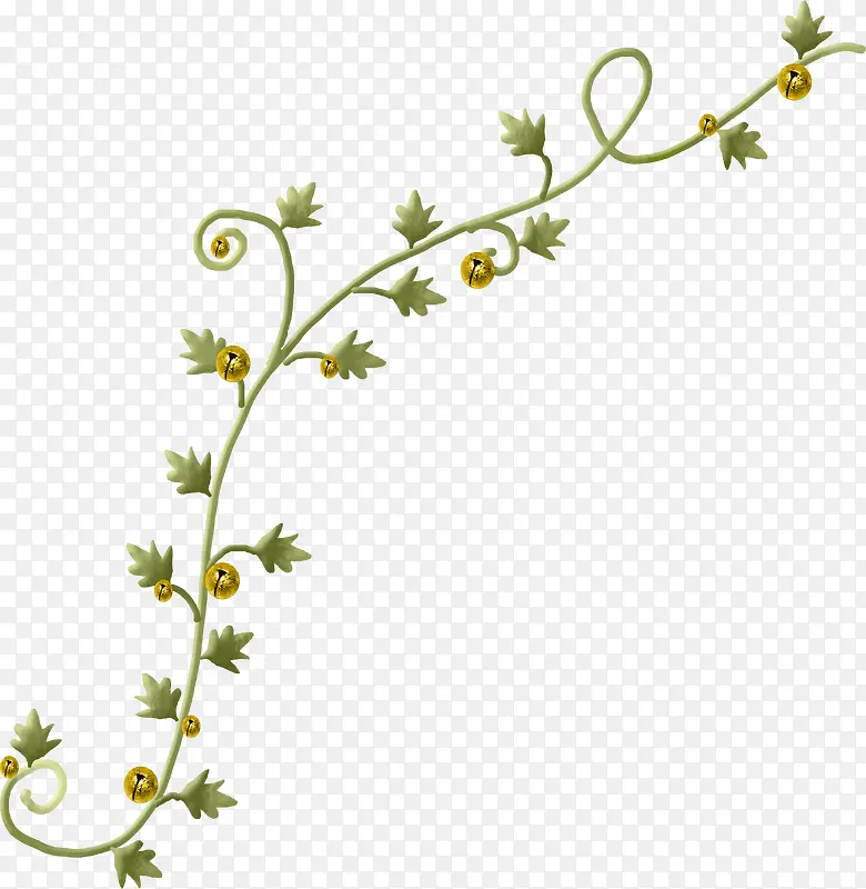 ֦Ѿ-������