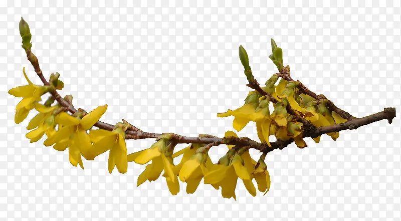 ����-������