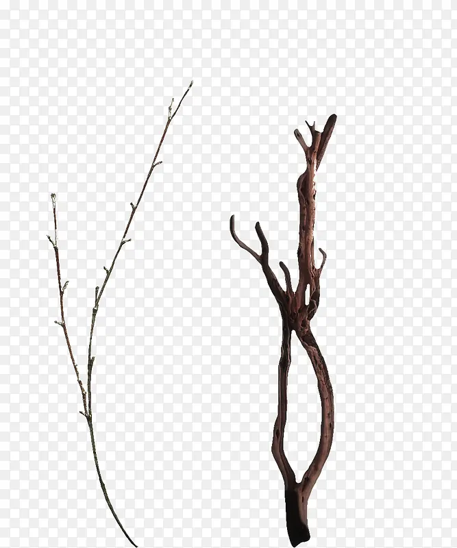 ��֦-������