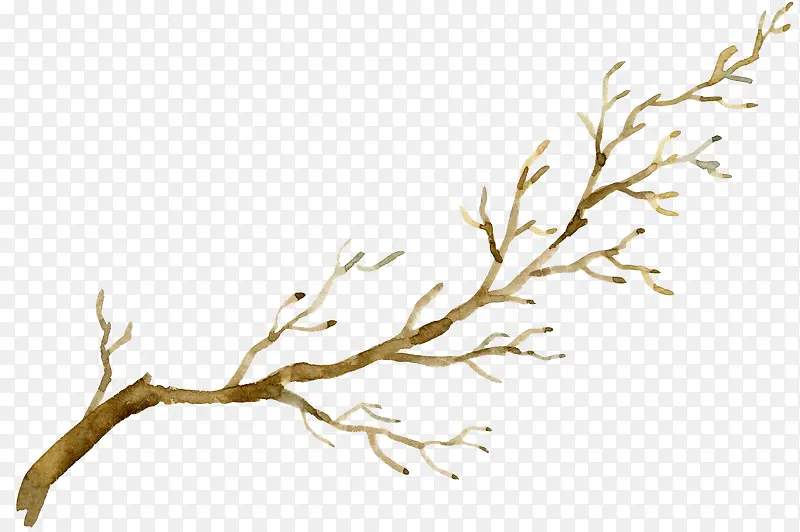 �ֻ���֦-������