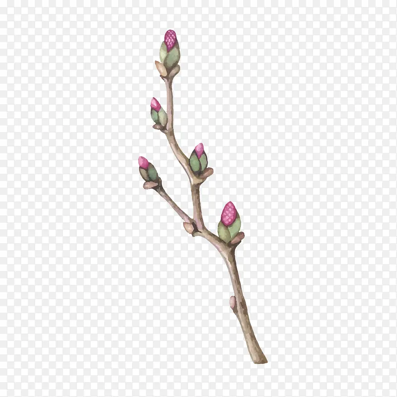 ʸ����֦-������