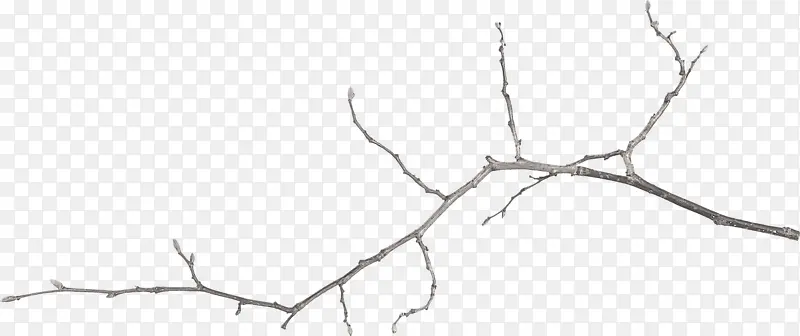 �ֻ���֦-������