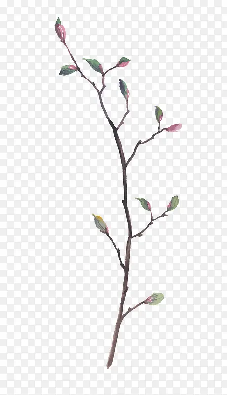 Ư����֦-������