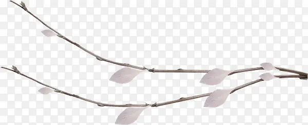 ֦Ѿ-������