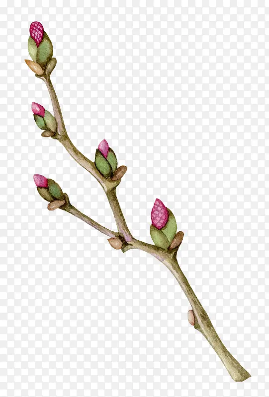 ��֦-������