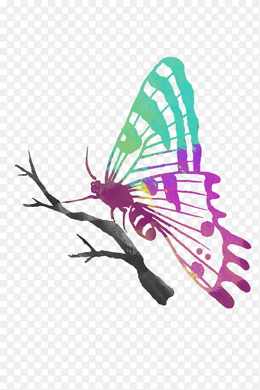 �ֻ����-������