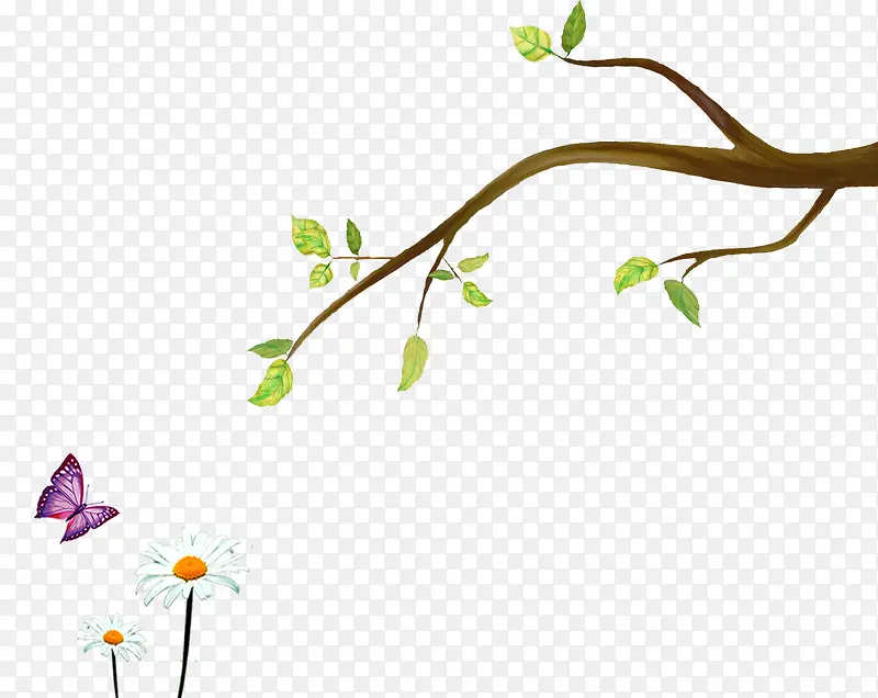 ��֦С������-������