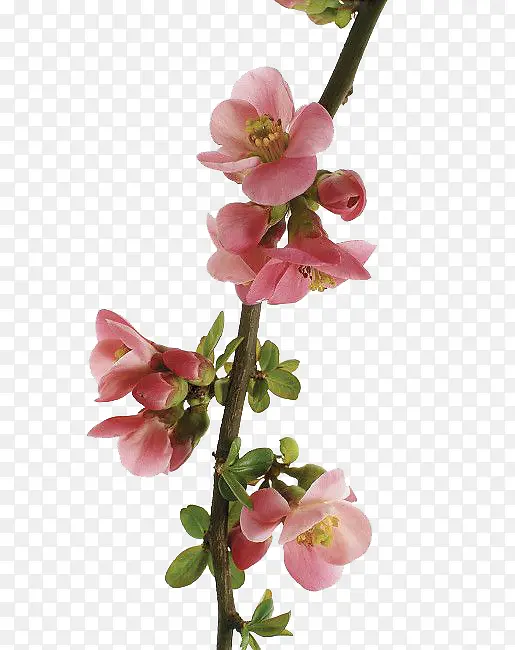 �һ�-������