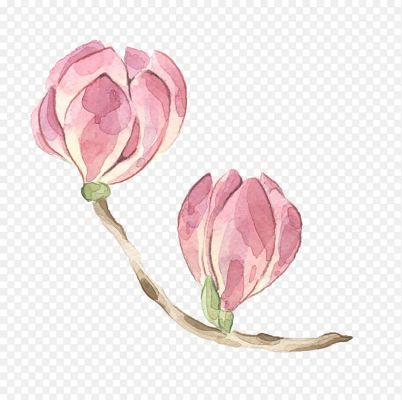 ��֦�ϵķ�ɫ����-������