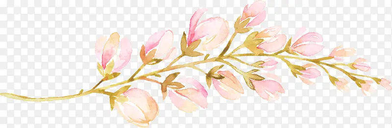 ��ɫ����-������