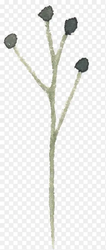 ˮī��֦-������