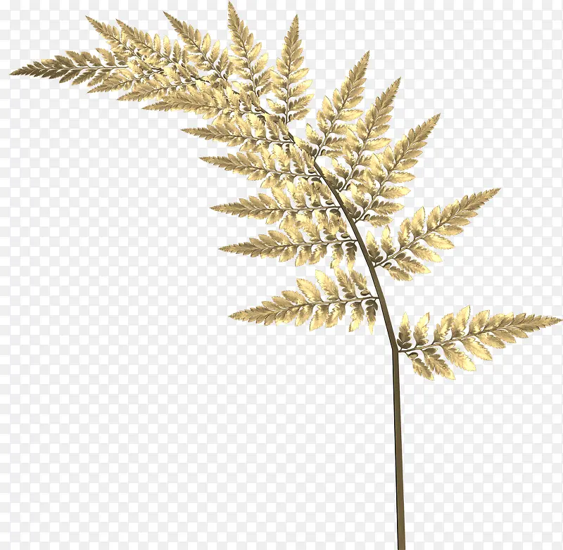 ��ɫ��֦Ҷ��-������