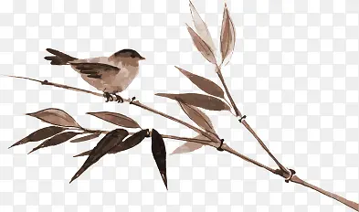 ˮī��֦-������