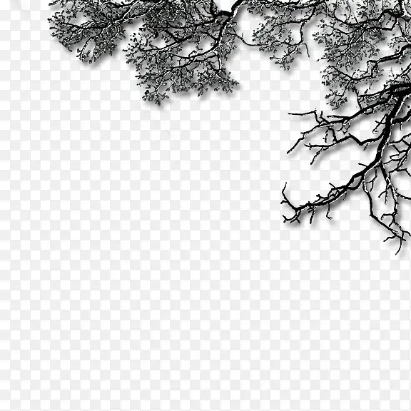 ��֦-������