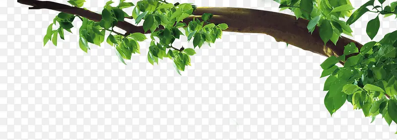 ��-������